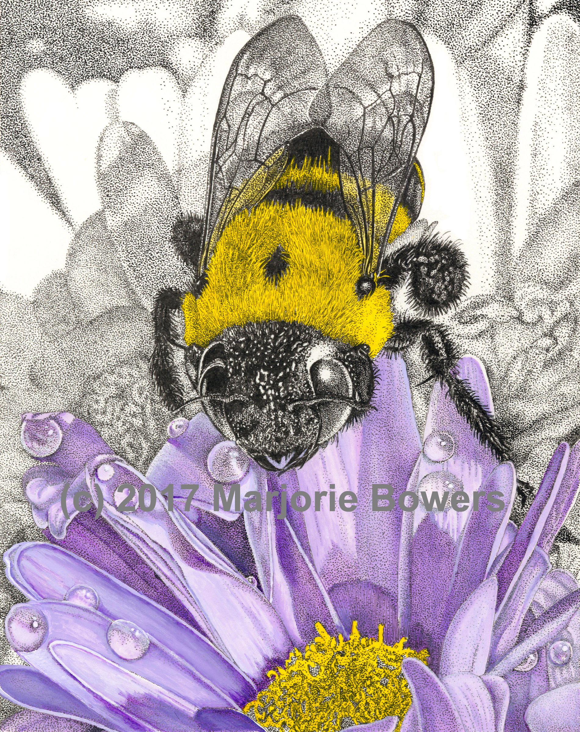 Bee Still - 8 x 10 Giclee